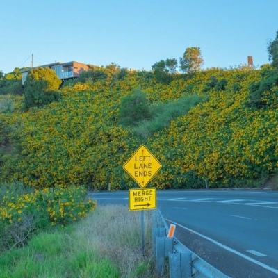 hth华体育(中国)官方入口手机app下载