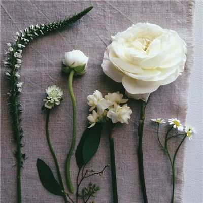 AOA体育登录入口下载手机版